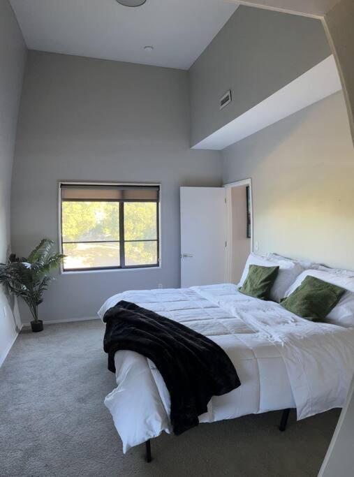 Luxury Condo 2 Bed 2 Bath Near Downtown Kc Канзас-Сіті Екстер'єр фото